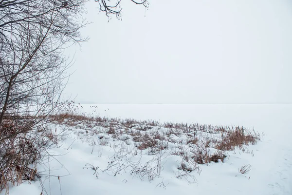 Παγωμένο ποτάμι στο χιόνι με θέα της ακτής από καλάμια — Φωτογραφία Αρχείου