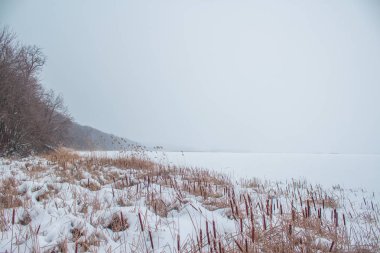 Nehir sazlık sahilinden görünümü ile karda donmuş