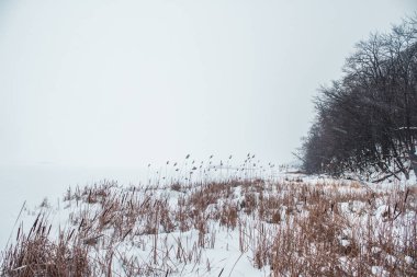 Nehir sazlık sahilinden görünümü ile karda donmuş