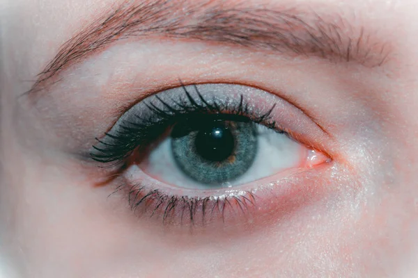 Primer plano de hermosa hembra ojo azul natural sin maquillaje —  Fotos de Stock