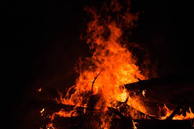 Ağaçlar geceleri yanan şenlik ateşi. Parlak, ısı, ışık, kamp, büyük şenlik ateşi yakma şenlik ateşi. yakın çekim