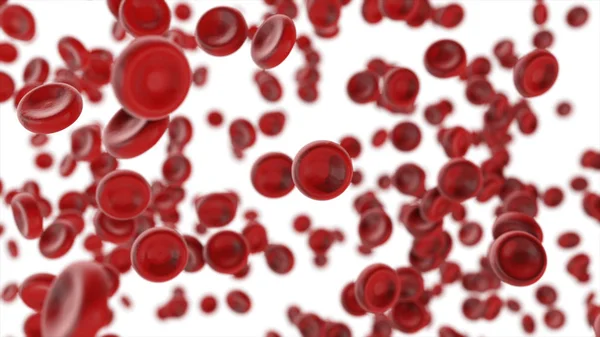 Vista bajo el microscopio, glóbulos rojos de la sangre aislados sobre fondo blanco, ilustración 3d . — Foto de Stock