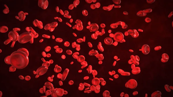 Glóbulos rojos en el cuerpo vivo — Foto de Stock