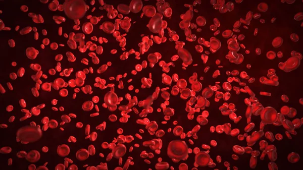 Globuli rossi nel corpo vivente — Foto Stock