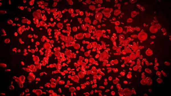 Красные кровяные тельца в живом теле — стоковое фото