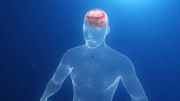 3D-model van de mens en hersenen met verminderde impulsen — Stockfoto