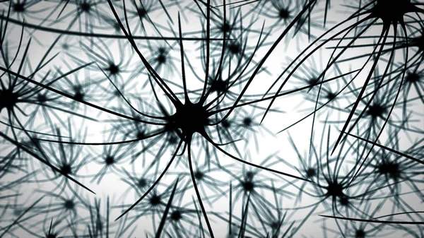Svart och vitt sömlös biologi eller neuron celler mönster. — Stockfoto