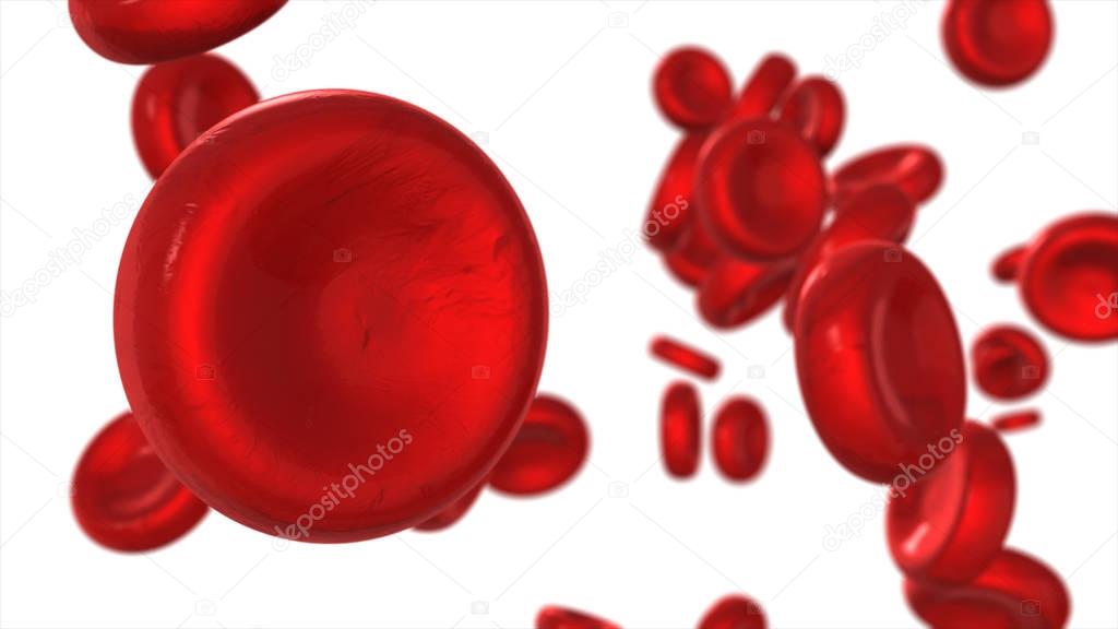 Red blood cells isolated on white background