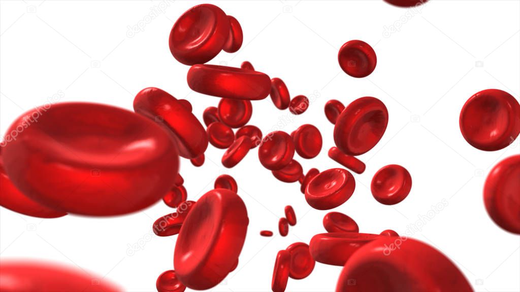 Red blood cells isolated on white background