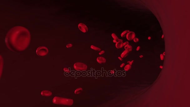 Blood cells traveling through a vein. — Stock Video