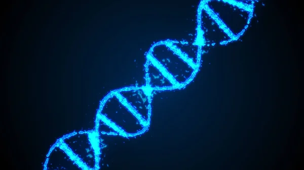 Abstrato digital 3d ilustração humana DNA strand — Fotografia de Stock