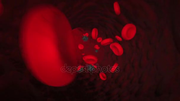 Movimentazione di virus e cellule del sangue — Video Stock