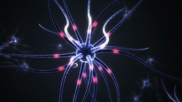 Transmisión de impulsos eléctricos a las células nerviosas . — Vídeo de stock