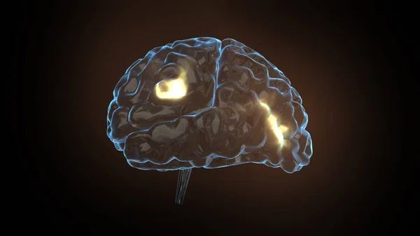 Pojęcie mocy mózgu z 3d rendering błyszczące ludzkiego mózgu — Zdjęcie stockowe