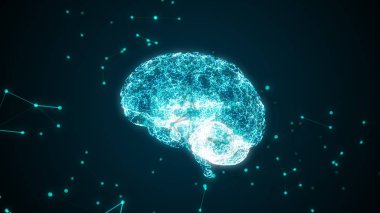 İnsan beyin parçacıkları döner tarafından oluşturulmaktadır. 3D çizim