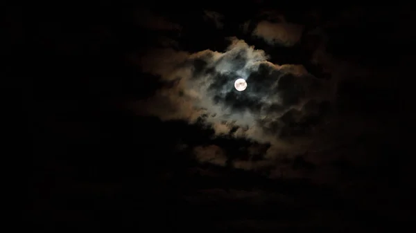 背景夜空星星和月亮与云。木材. — 图库照片