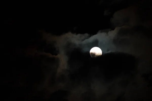 Latar belakang langit malam dengan bintang-bintang dan bulan dan awan. kayu . — Stok Foto