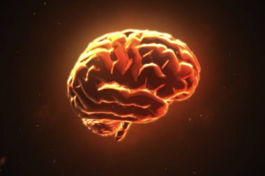 Big strong brain pulsing in orange 3d illustration clipart