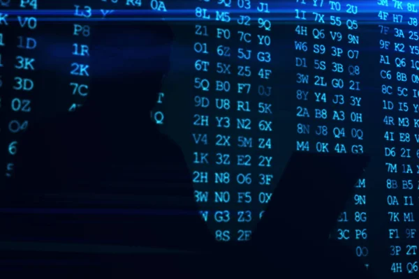 Computer hacker silhouette of hooded man with binary data and network security terms 3d illustration