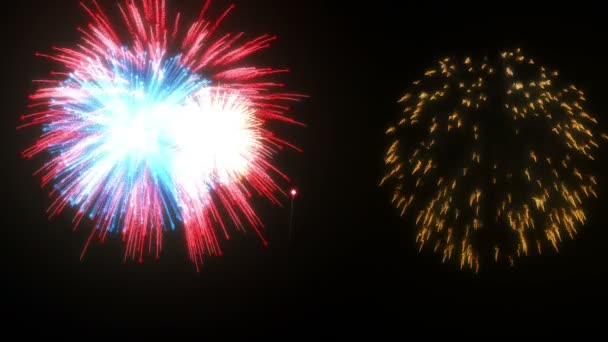 Impressionante belos fogos de artifício festivos em um fundo preto — Vídeo de Stock