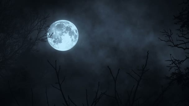Luna moonshine. cielo nocturno de luna. místico espeluznante miedo. árbol árboles silueta sombra. naturaleza fondo — Vídeos de Stock