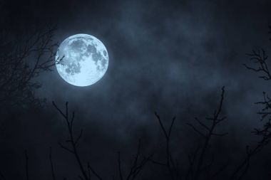 Karanlık gece orman dolunay 3B şekil karşı