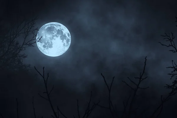 Bosque nocturno oscuro contra luna llena 3d ilustración — Foto de Stock