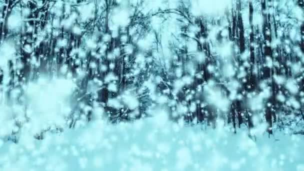 雪圣诞视频背景无缝循环-神奇雪 A 下雪的冬天森林与梦幻般的视觉质量。伟大的大气背景循环特别被适合圣诞节的时候. — 图库视频影像