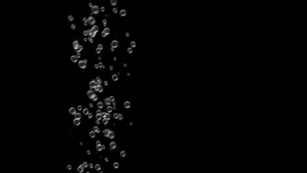 Kabarcık dalgalanmaları siyah arka plan üzerine yukarı taşımak — Stok video