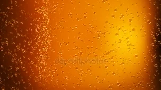 Guld champagne bubblor — Stockvideo
