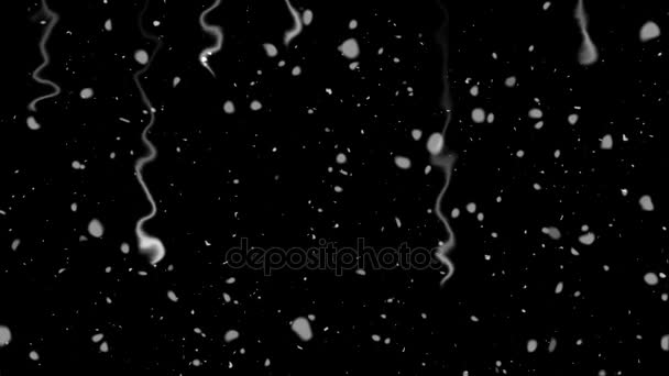 Gotas de chuva de água branca caindo em vidro — Vídeo de Stock