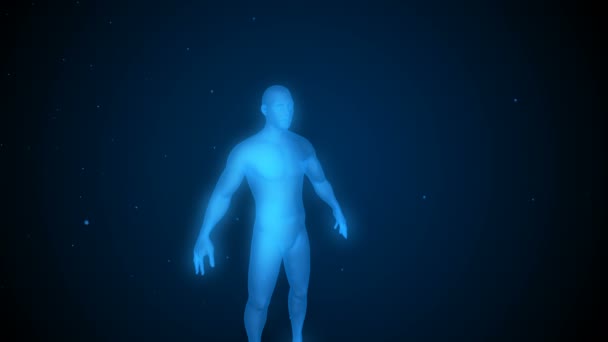 Tredimensionell modell av människan i rymden — Stockvideo