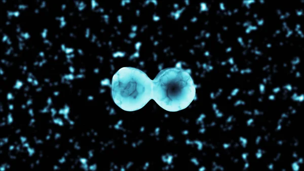 Binär Fission Transparent celldelning 3d illustration — Stockfoto
