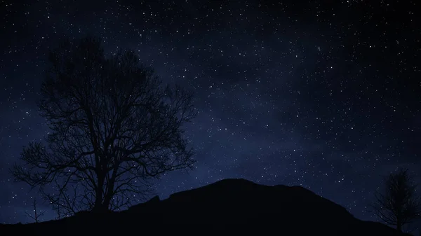 Un lapso de tiempo de una noche estrellada con una sombra de un árbol en primer plano y con un efecto de rastro estelar ilustración 3d — Foto de Stock