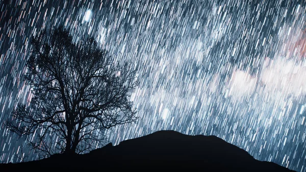 Un lapso de tiempo de una noche estrellada con una sombra de un árbol en primer plano y con un efecto de rastro estelar. 3d ilustración Elementos de esta imagen proporcionados por la NASA — Foto de Stock