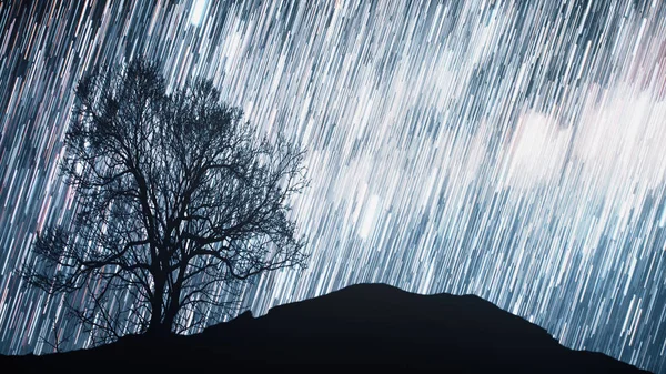 Un lapso de tiempo de una noche estrellada con una sombra de un árbol en primer plano y con un efecto de rastro estelar. 3d ilustración Elementos de esta imagen proporcionados por la NASA — Foto de Stock