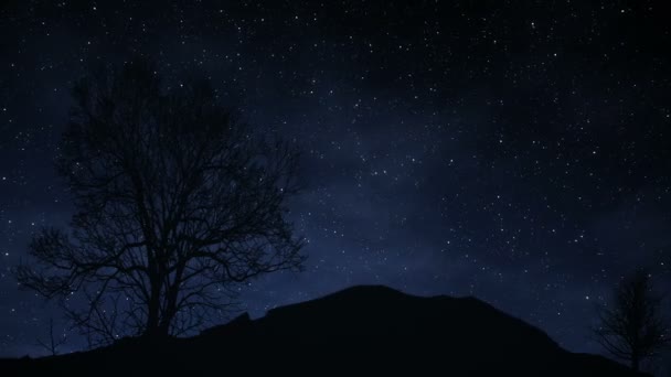 Проміжок часу зоряної ночі з тіні дерева на передньому плані і ефектом зоряного сліду — стокове відео