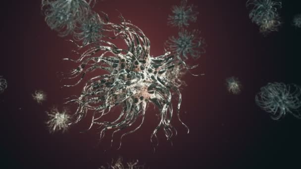 Virus batterico o cellule di microorganismi al microscopio con profondità — Video Stock