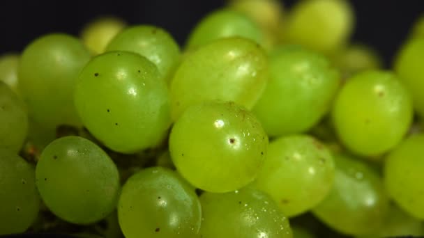 Bagas de uvas verdes em gotas de água — Vídeo de Stock