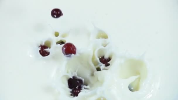 Mnoho brusinky spadajících do mléka s jogurtem v pomalém pohybu — Stock video