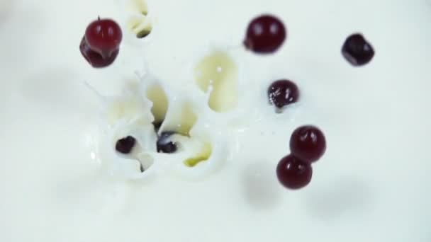 大量的蔓越莓掉进牛奶与酸奶在慢动作 — 图库视频影像