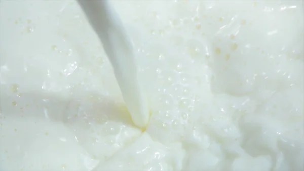 Hälla färsk mjölk i ren disk i slow motion — Stockfoto