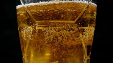 Taze bira cam kupa ağır çekimde içine dökme