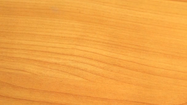 Textuur van een boom-dolly close-up shot van een stuk hout — Stockvideo