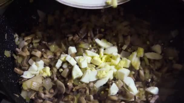 Préparation de la nourriture, les champignons et les oignons sont frits dans une casserole, en remuant au ralenti, en ajoutant un œuf bouilli — Video