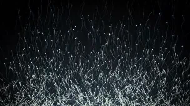 Бесшовный абстрактный фон движущейся картины, создающей частицы в хаотических направлениях — стоковое видео