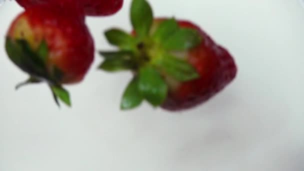 Čerstvé jahody spadající do smetany v pomalém pohybu — Stock video
