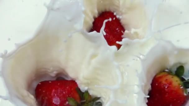 Fraises fraîches tombant dans la crème au ralenti 