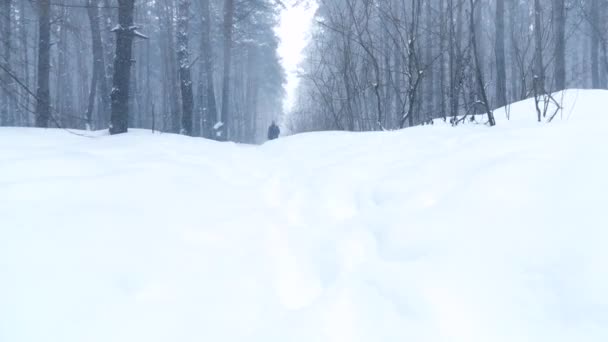 Schneefall im Winterwald mit schneebedeckten Bäumen, ein Mann steht mitten im Wald in Zeitlupe — Stockvideo