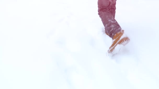 Caminhando pés em botas em uma paisagem de inverno em câmera lenta, um passeio de inverno nas montanhas, turismo de férias, neve caindo — Vídeo de Stock